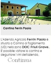 Cantina Ferrin Paolo