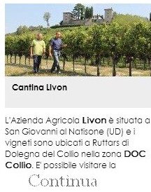 Cantina Livon